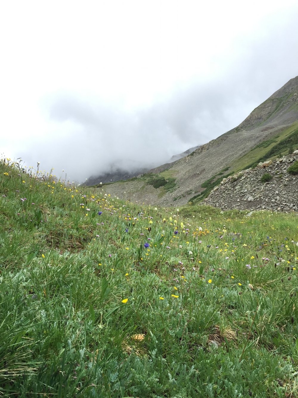 Valley of Vision